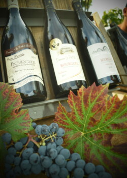 Domaine Le Pont du Gué - Ploquin & fils